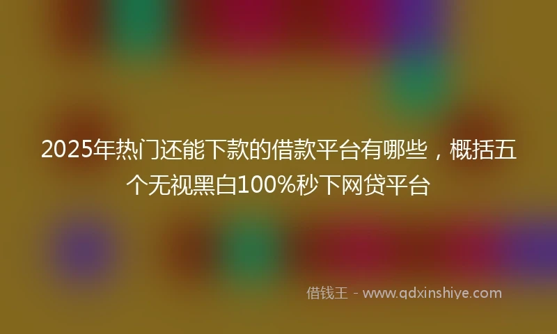 2025年热门还能下款的借款平台有哪些，概括五个无视黑白100%秒下网贷平台
