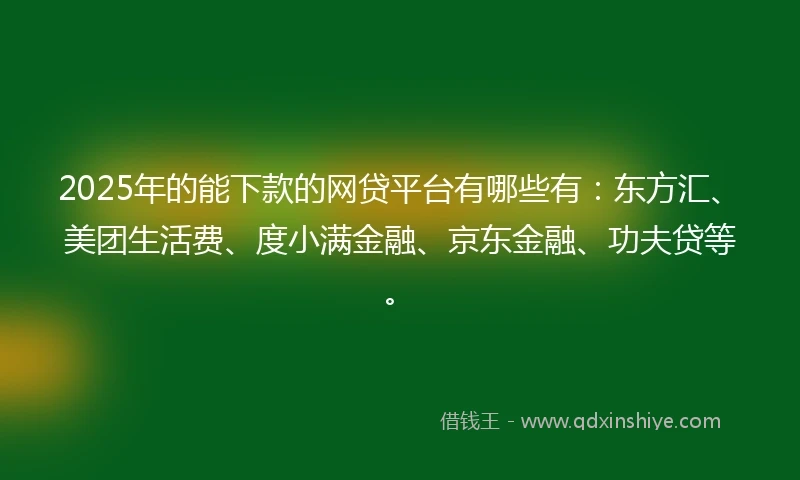 2025年的能下款的网贷平台有哪些有：东方汇、美团生活费、度小满金融、京东金融、功夫贷等。
