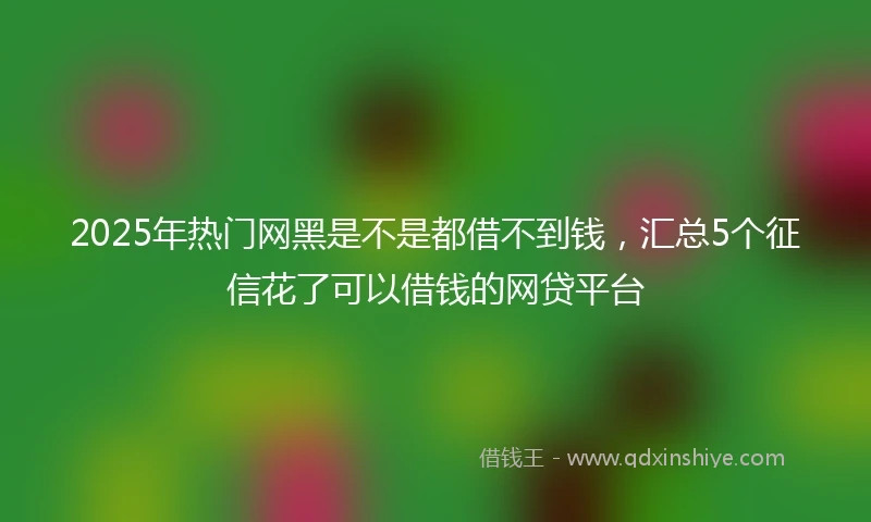 2025年热门网黑是不是都借不到钱，汇总5个征信花了可以借钱的网贷平台