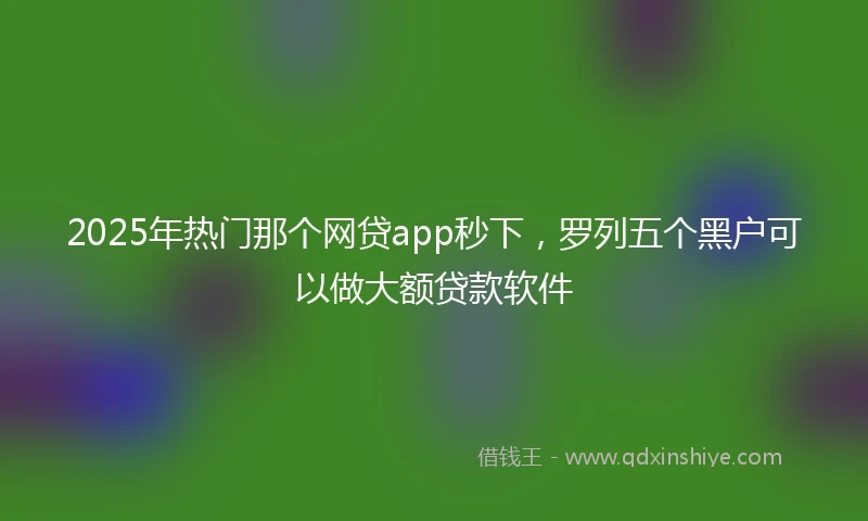 2025年热门那个网贷app秒下，罗列五个黑户可以做大额贷款软件
