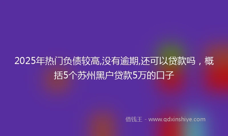 2025年热门负债较高,没有逾期,还可以贷款吗，概括5个苏州黑户贷款5万的口子