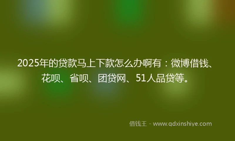 2025年的贷款马上下款怎么办啊有：微博借钱、花呗、省呗、团贷网、51人品贷等。