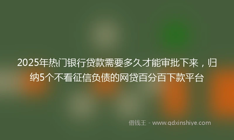 2025年热门银行贷款需要多久才能审批下来，归纳5个不看征信负债的网贷百分百下款平台