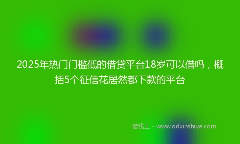 2025年热门门槛低的借贷平台18岁可以借吗，概括5个征信花居然都下款的平台