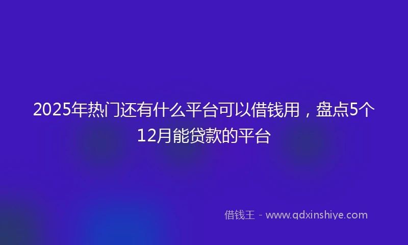 2025年热门还有什么平台可以借钱用，盘点5个12月能贷款的平台