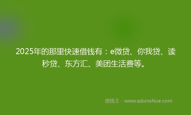 2025年的那里快速借钱有：e微贷、你我贷、读秒贷、东方汇、美团生活费等。