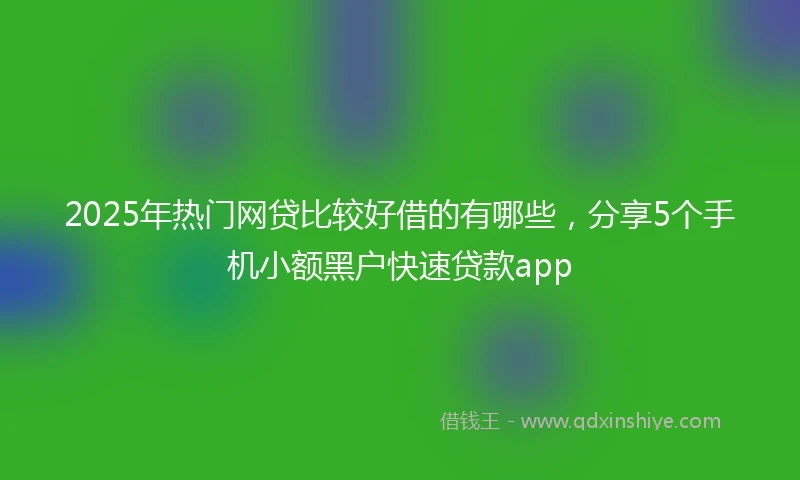 2025年热门网贷比较好借的有哪些，分享5个手机小额黑户快速贷款app