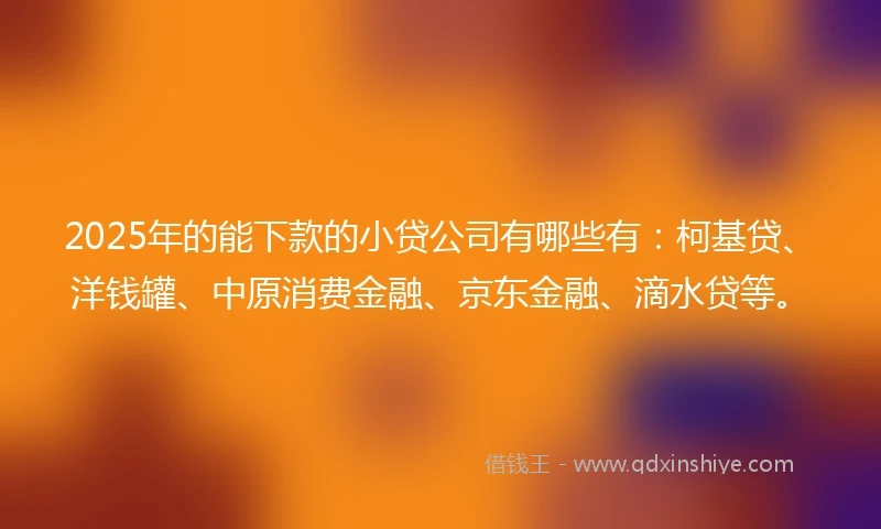 2025年的能下款的小贷公司有哪些有：柯基贷、洋钱罐、中原消费金融、京东金融、滴水贷等。