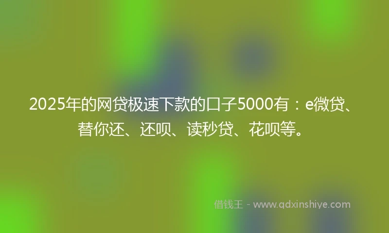2025年的网贷极速下款的口子5000有：e微贷、替你还、还呗、读秒贷、花呗等。