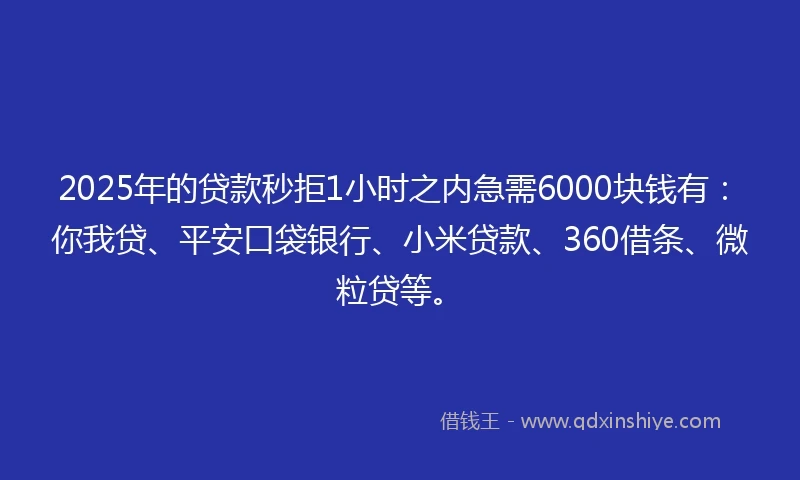 2025年的贷款秒拒1小时之内急需6000块钱有：你我贷、平安口袋银行、小米贷款、360借条、微粒贷等。