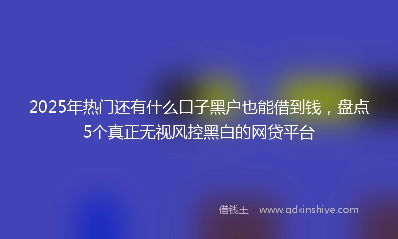 2025年热门还有什么口子黑户也能借到钱，盘点5个真正无视风控黑白的网贷平台