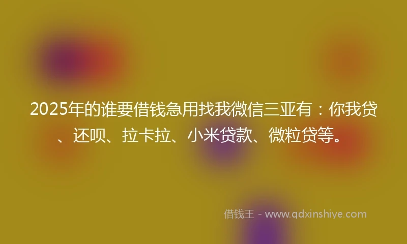 2025年的谁要借钱急用找我微信三亚有：你我贷、还呗、拉卡拉、小米贷款、微粒贷等。