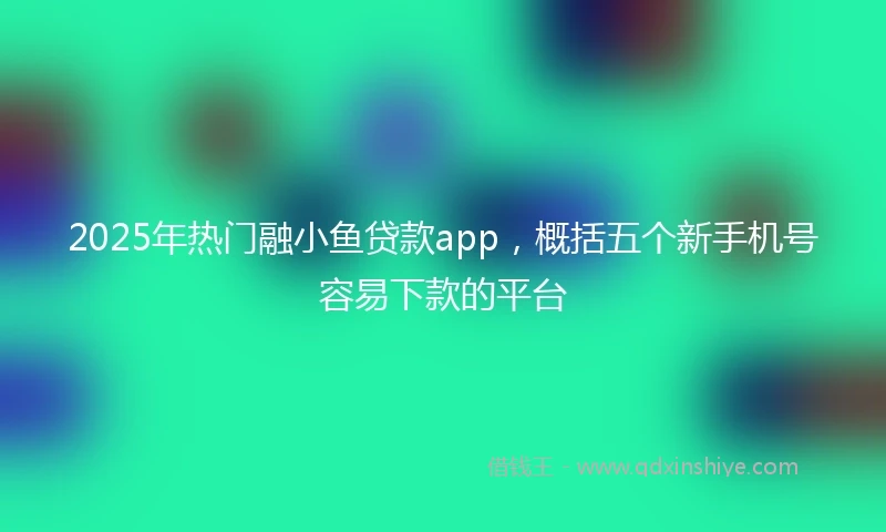 2025年热门融小鱼贷款app，概括五个新手机号容易下款的平台