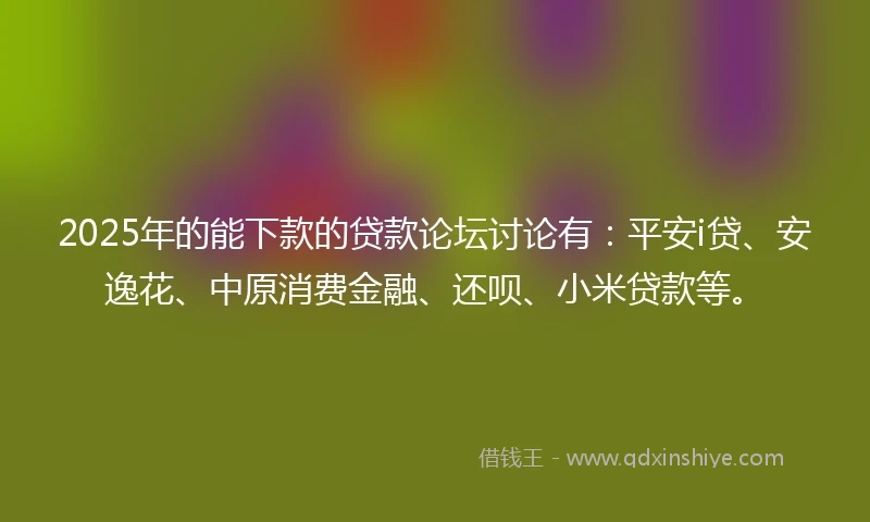 2025年的能下款的贷款论坛讨论有：平安i贷、安逸花、中原消费金融、还呗、小米贷款等。