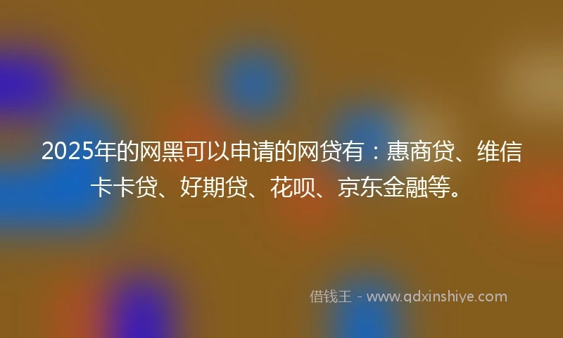 2025年的网黑可以申请的网贷有：惠商贷、维信卡卡贷、好期贷、花呗、京东金融等。