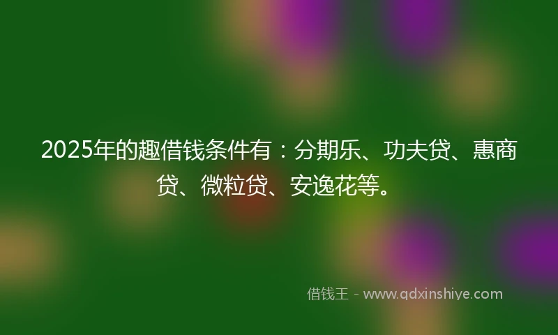 2025年的趣借钱条件有：分期乐、功夫贷、惠商贷、微粒贷、安逸花等。