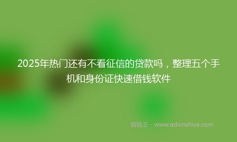 2025年热门还有不看征信的贷款吗，整理五个手机和身份证快速借钱软件