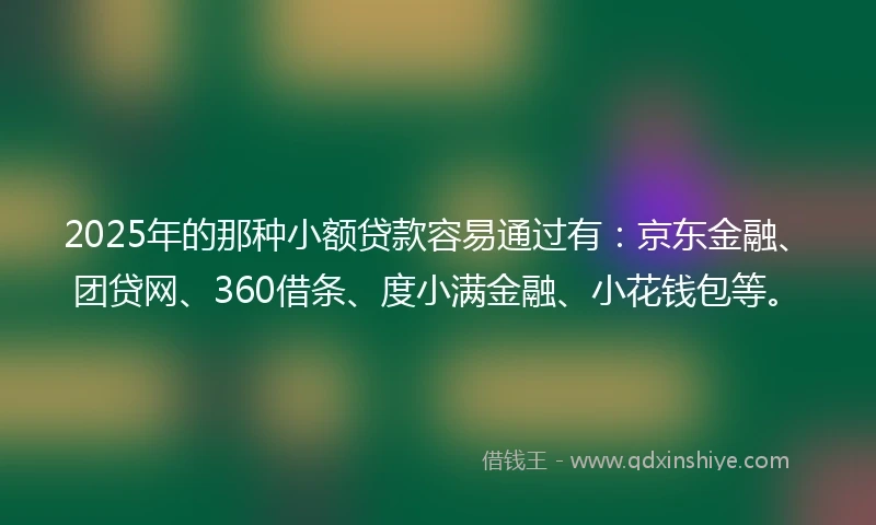 2025年的那种小额贷款容易通过有：京东金融、团贷网、360借条、度小满金融、小花钱包等。