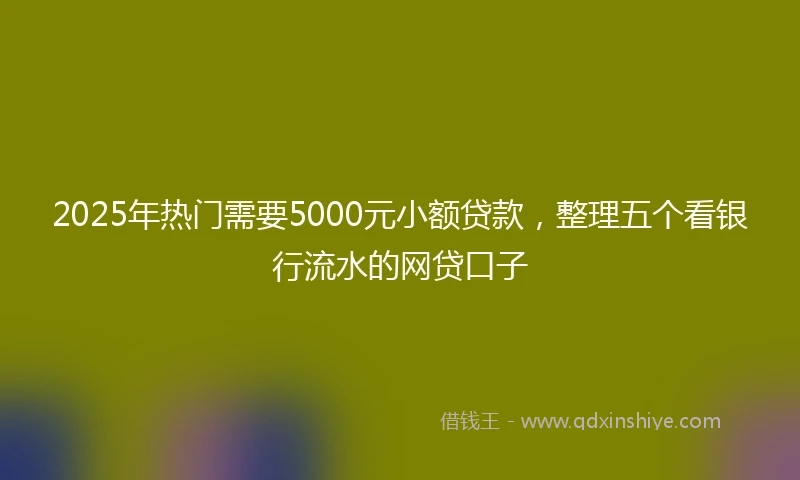 2025年热门需要5000元小额贷款，整理五个看银行流水的网贷口子