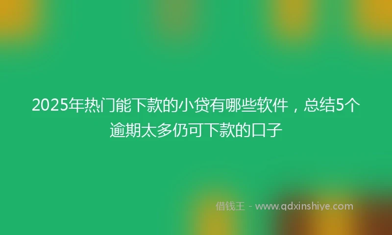 2025年热门能下款的小贷有哪些软件，总结5个逾期太多仍可下款的口子