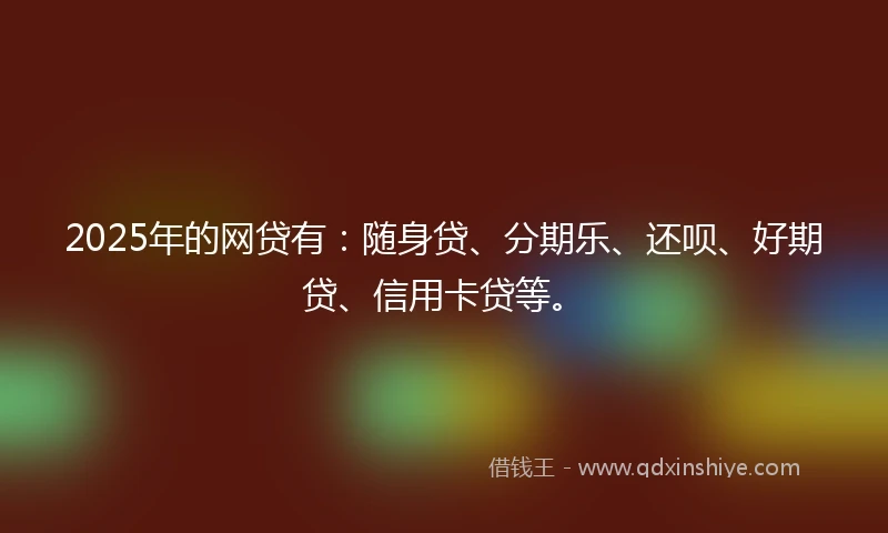2025年的网贷有：随身贷、分期乐、还呗、好期贷、信用卡贷等。
