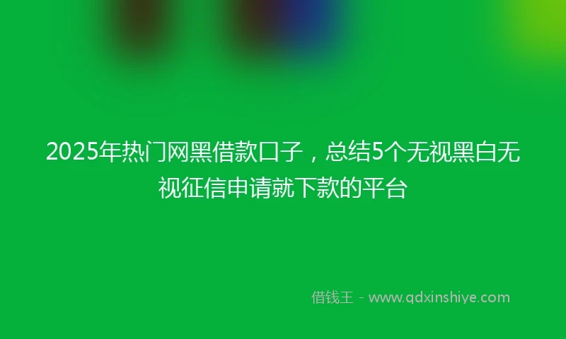 2025年热门网黑借款口子，总结5个无视黑白无视征信申请就下款的平台