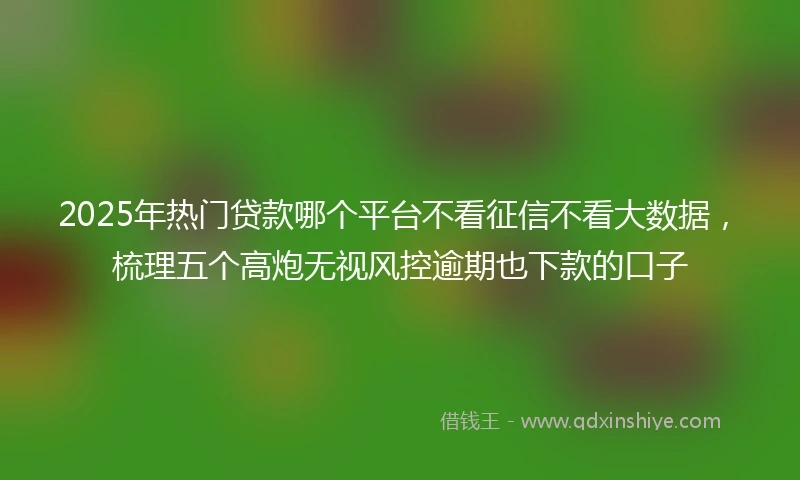 2025年热门贷款哪个平台不看征信不看大数据，梳理五个高炮无视风控逾期也下款的口子