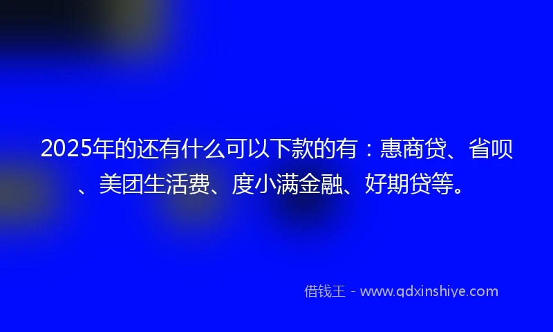 2025年的还有什么可以下款的有:惠商贷、省呗、美团生活费、度小满金融、好期贷等。