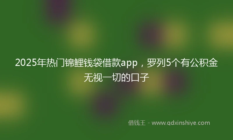 2025年热门锦鲤钱袋借款app，罗列5个有公积金无视一切的口子