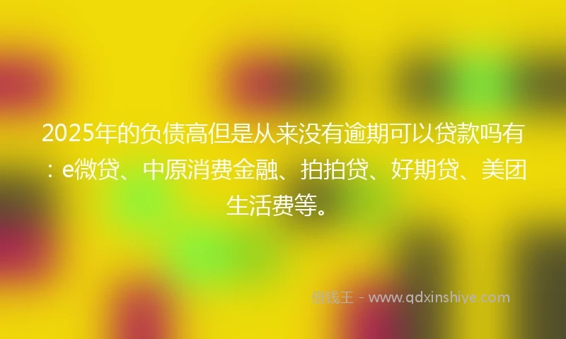 2025年的负债高但是从来没有逾期可以贷款吗有：e微贷、中原消费金融、拍拍贷、好期贷、美团生活费等。