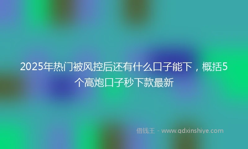 2025年热门被风控后还有什么口子能下，概括5个高炮口子秒下款最新