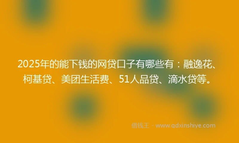 2025年的能下钱的网贷口子有哪些有：融逸花、柯基贷、美团生活费、51人品贷、滴水贷等。