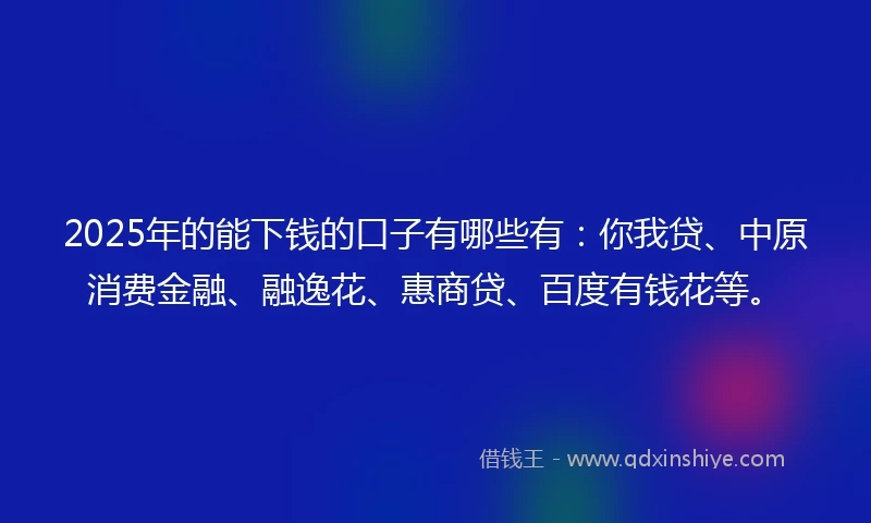 2025年的能下钱的口子有哪些有：你我贷、中原消费金融、融逸花、惠商贷、百度有钱花等。