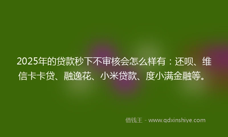 2025年的贷款秒下不审核会怎么样有：还呗、维信卡卡贷、融逸花、小米贷款、度小满金融等。