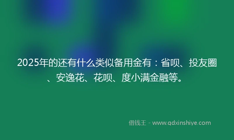 2025年的还有什么类似备用金有：省呗、投友圈、安逸花、花呗、度小满金融等。