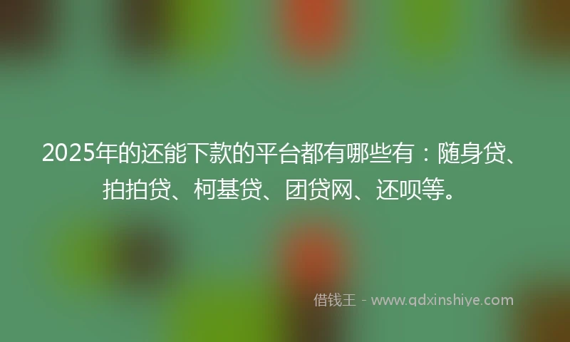 2025年的还能下款的平台都有哪些有：随身贷、拍拍贷、柯基贷、团贷网、还呗等。