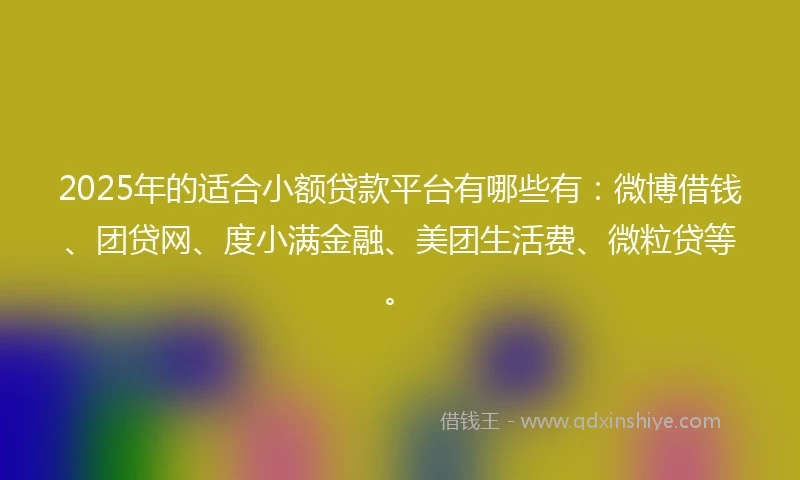 2025年的适合小额贷款平台有哪些有：微博借钱、团贷网、度小满金融、美团生活费、微粒贷等。