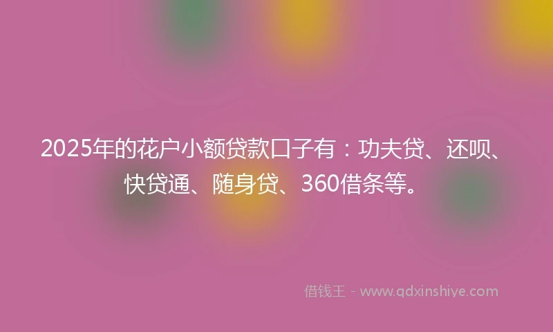 2025年的花户小额贷款口子有：功夫贷、还呗、快贷通、随身贷、360借条等。