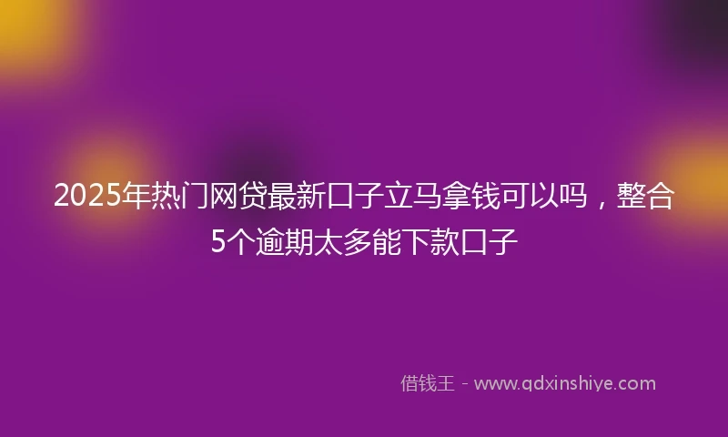 2025年热门网贷最新口子立马拿钱可以吗，整合5个逾期太多能下款口子