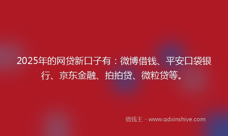 2025年的网贷新口子有：微博借钱、平安口袋银行、京东金融、拍拍贷、微粒贷等。