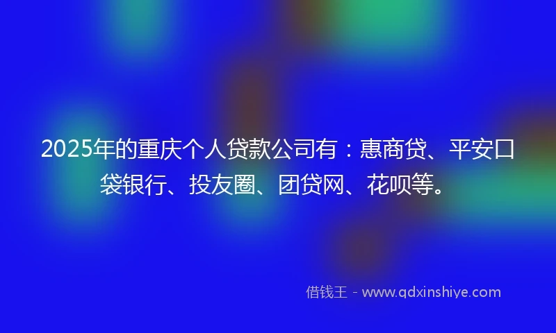 2025年的重庆个人贷款公司有：惠商贷、平安口袋银行、投友圈、团贷网、花呗等。