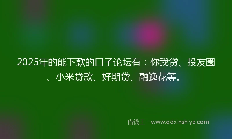 2025年的能下款的口子论坛有：你我贷、投友圈、小米贷款、好期贷、融逸花等。