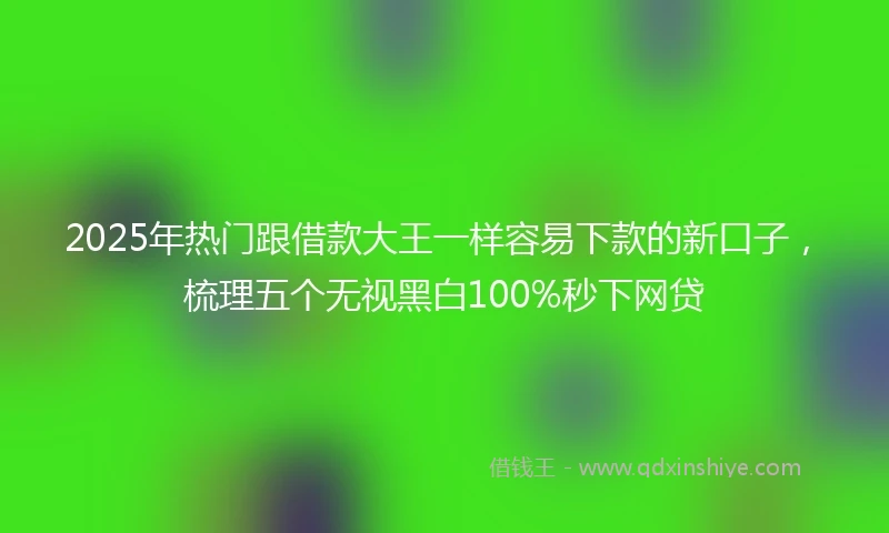 2025年热门跟借款大王一样容易下款的新口子，梳理五个无视黑白100%秒下网贷