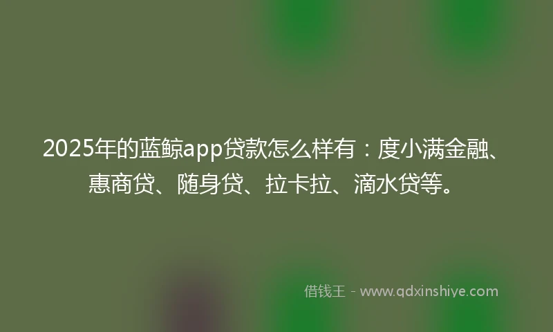 2025年的蓝鲸app贷款怎么样有：度小满金融、惠商贷、随身贷、拉卡拉、滴水贷等。