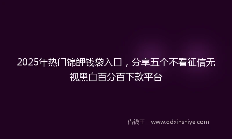 2025年热门锦鲤钱袋入口，分享五个不看征信无视黑白百分百下款平台