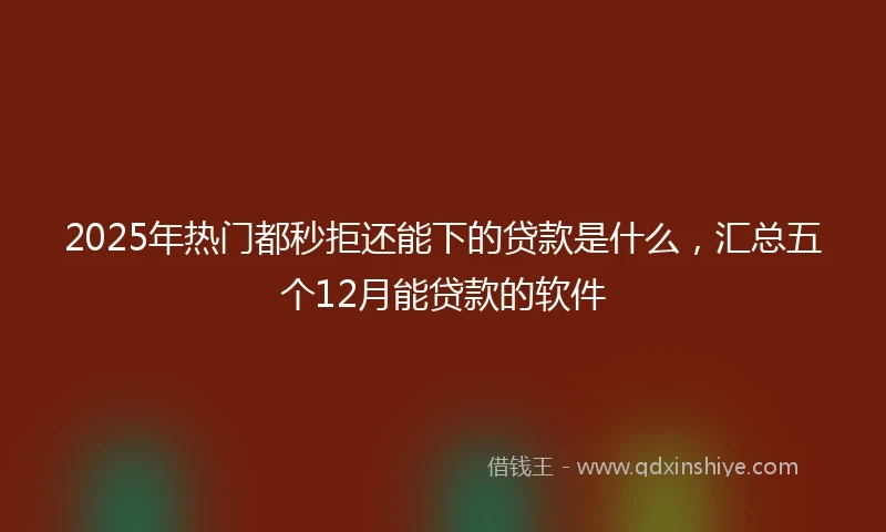 2025年热门都秒拒还能下的贷款是什么，汇总五个12月能贷款的软件