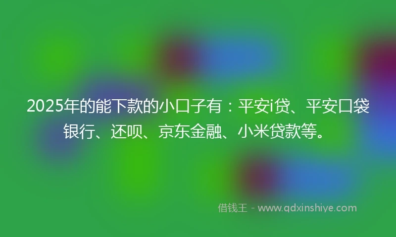 2025年的能下款的小口子有：平安i贷、平安口袋银行、还呗、京东金融、小米贷款等。