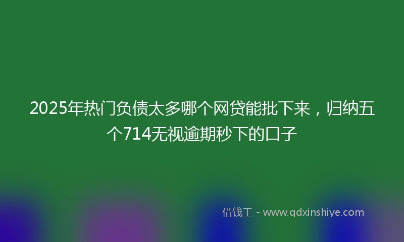 2025年热门负债太多哪个网贷能批下来，归纳五个714无视逾期秒下的口子