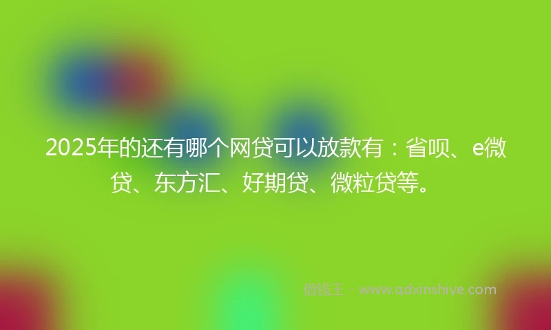2025年的还有哪个网贷可以放款有：省呗、e微贷、东方汇、好期贷、微粒贷等。