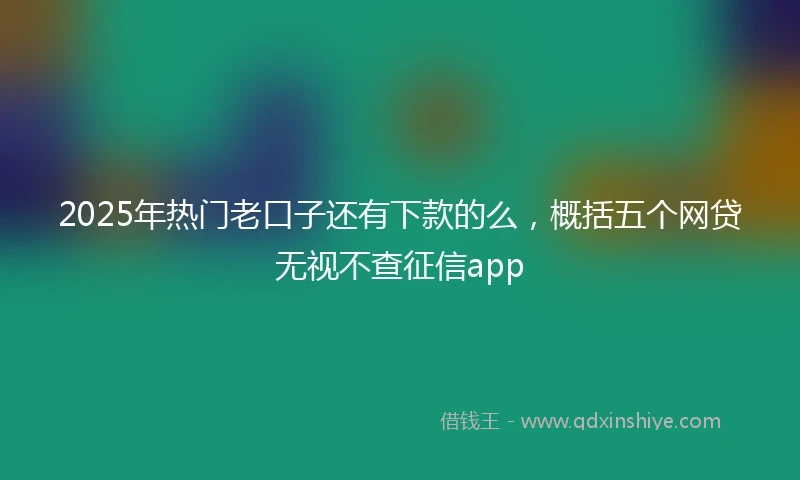 2025年热门老口子还有下款的么，概括五个网贷无视不查征信app